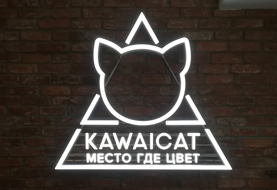   Kawaicat 